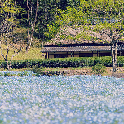 写真：岐阜の風景